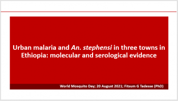 Urban Malaria and Anopheles stephansi – Ethiopia